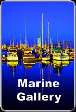 MarineGallery